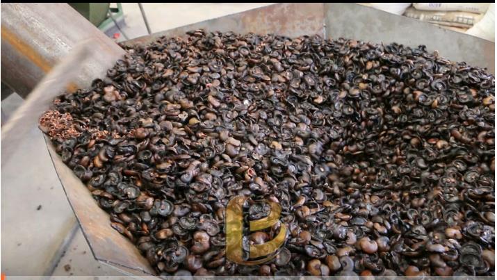 山核桃壳成人向日葵视频免费,使果壳资源得到充分利用